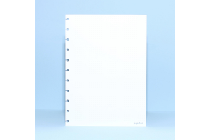 REFIL POP DISC GRANDE PONTILHADO C/ 50 FOLHAS 90G/M2